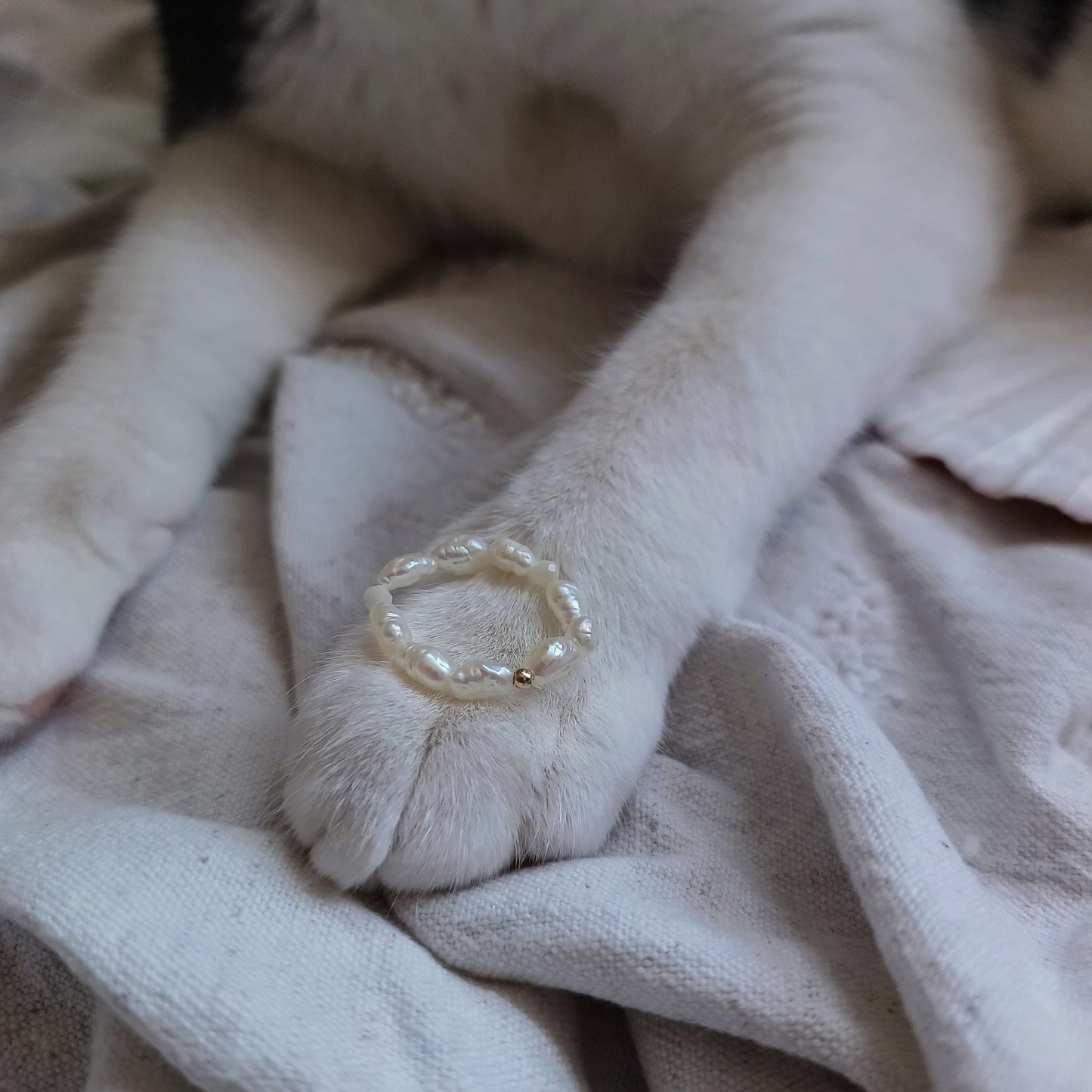 Seasalt Ring